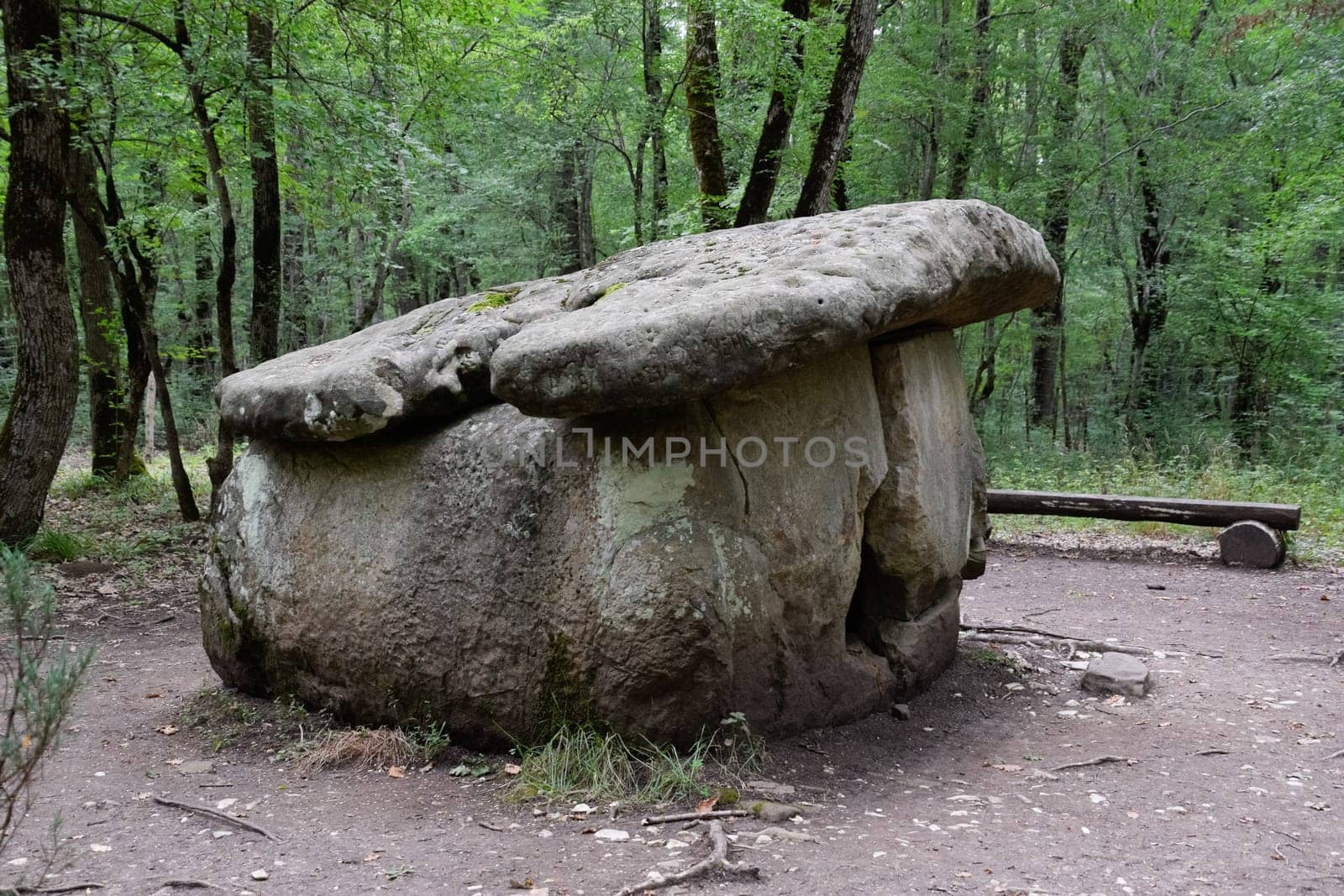 Dolmen in Shapsug. Forest in the city near the village of Shapsugskaya, the sights are dolmens and ruins of ancient civilization.