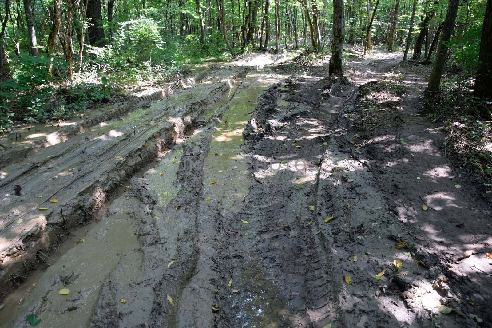 Dirty blurred forest road with a deep rut.