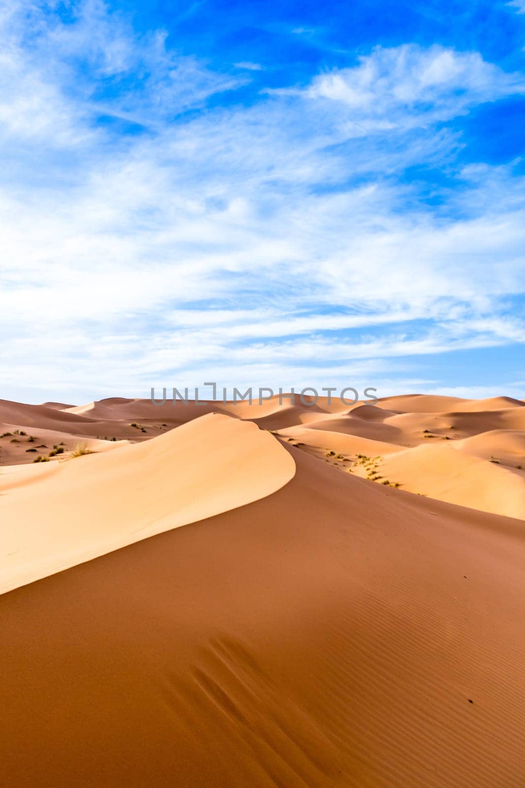 Merzouga in the Sahara Desert in Morocco