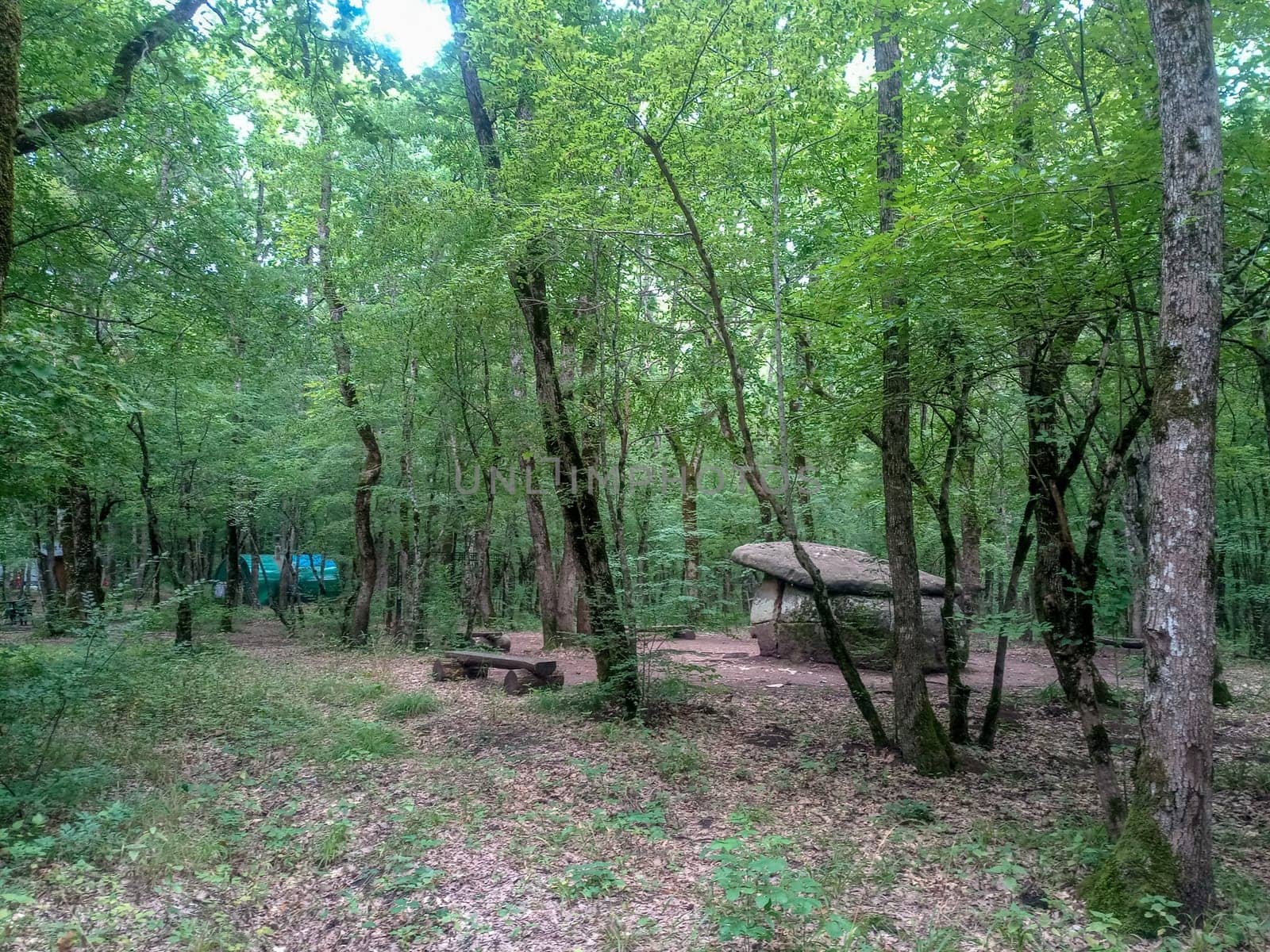 Dolmen in Shapsug. Forest in the city near the village of Shapsugskaya, the sights are dolmens and ruins of ancient civilization.