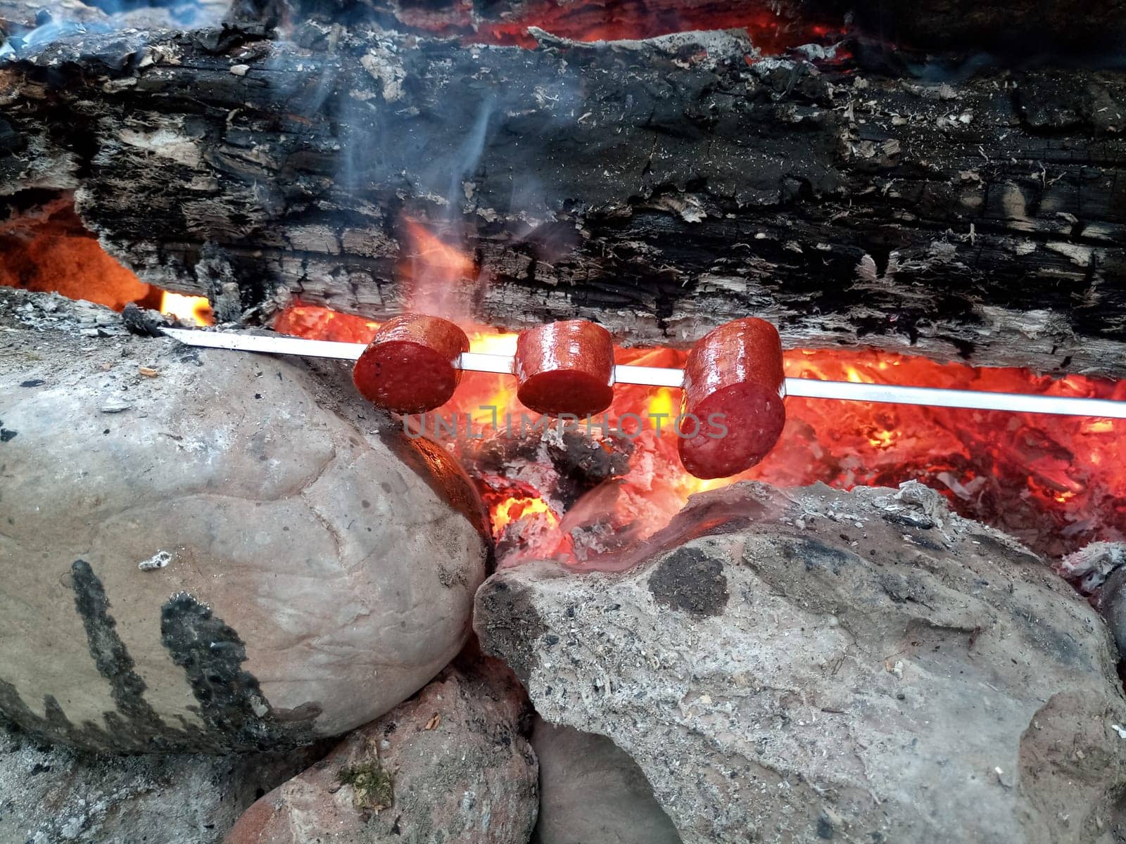 Frying slices of sausages on a bonfire on a skewer.