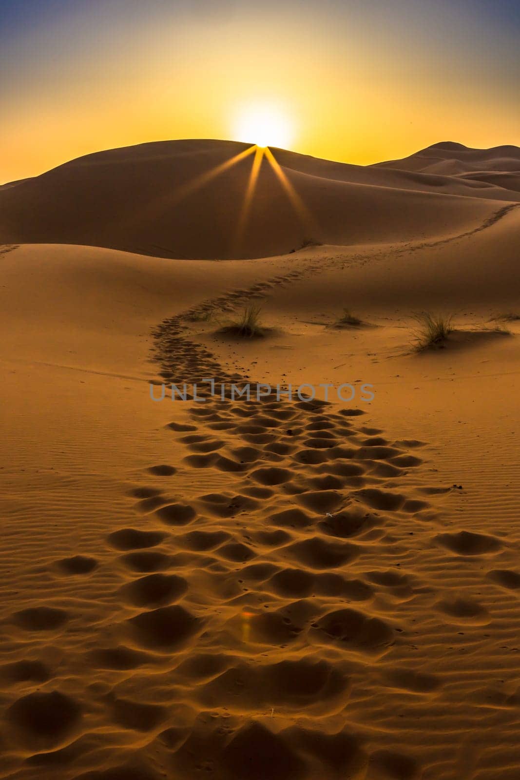 Merzouga in the Sahara Desert in Morocco