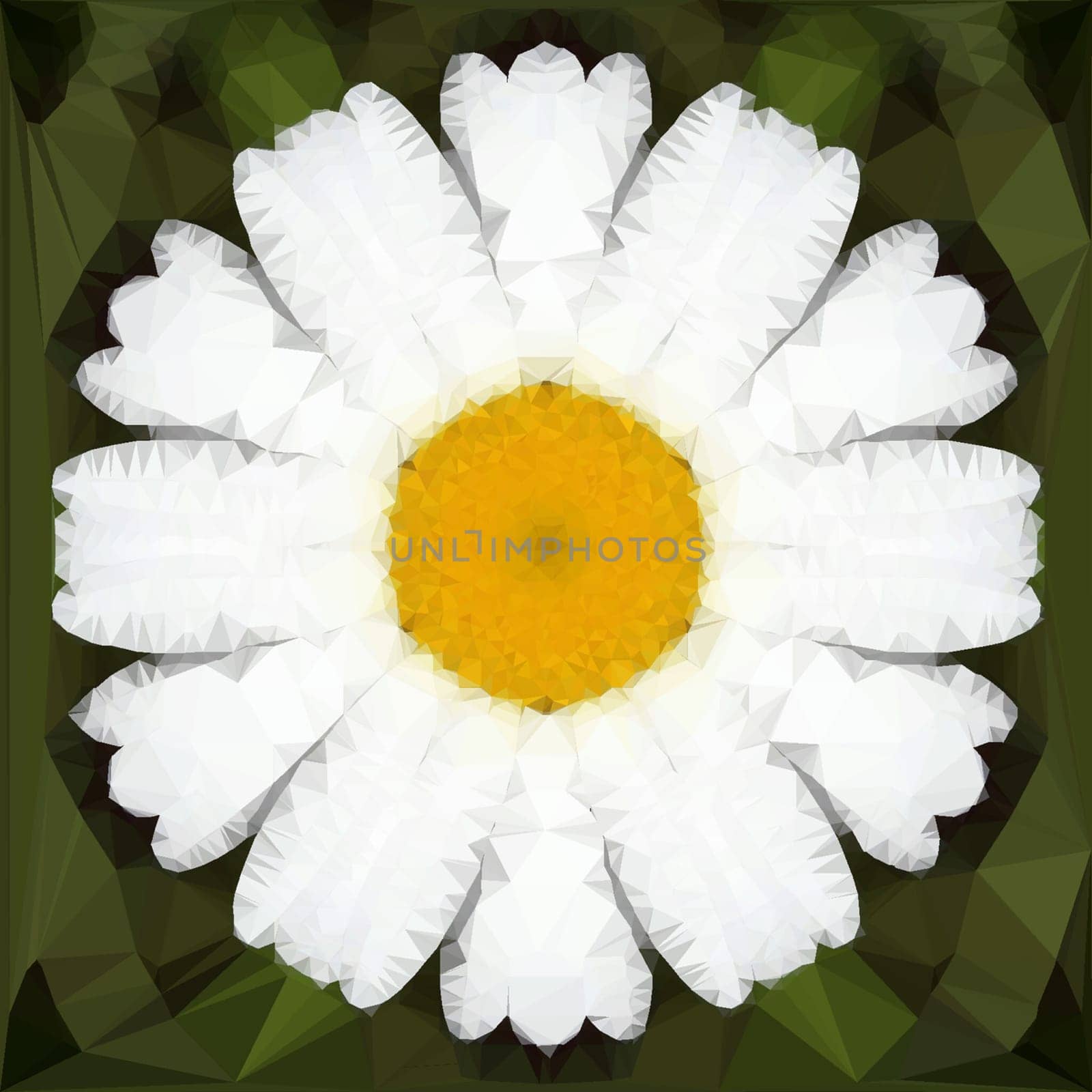 polygonal open flower with petals daisy on black, low poly camomile illustration