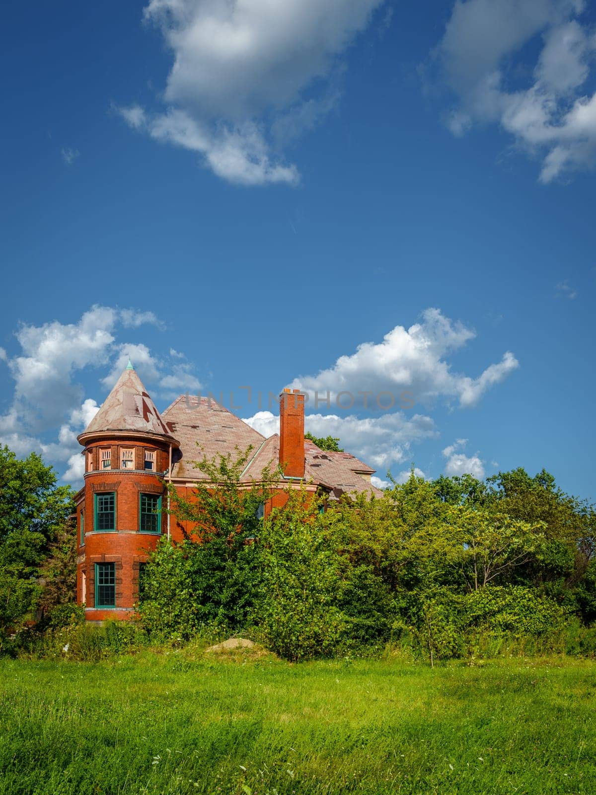 An abandoned house in the city of Detroit is taken over by plants and trees