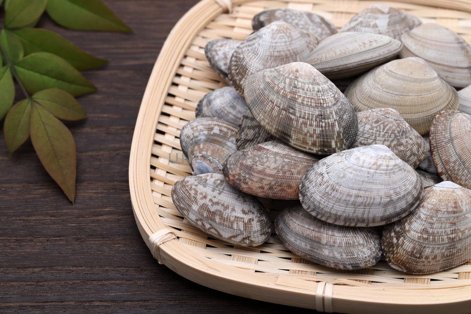 Japanese asari clams in a bamboo basket on dark wooden table background