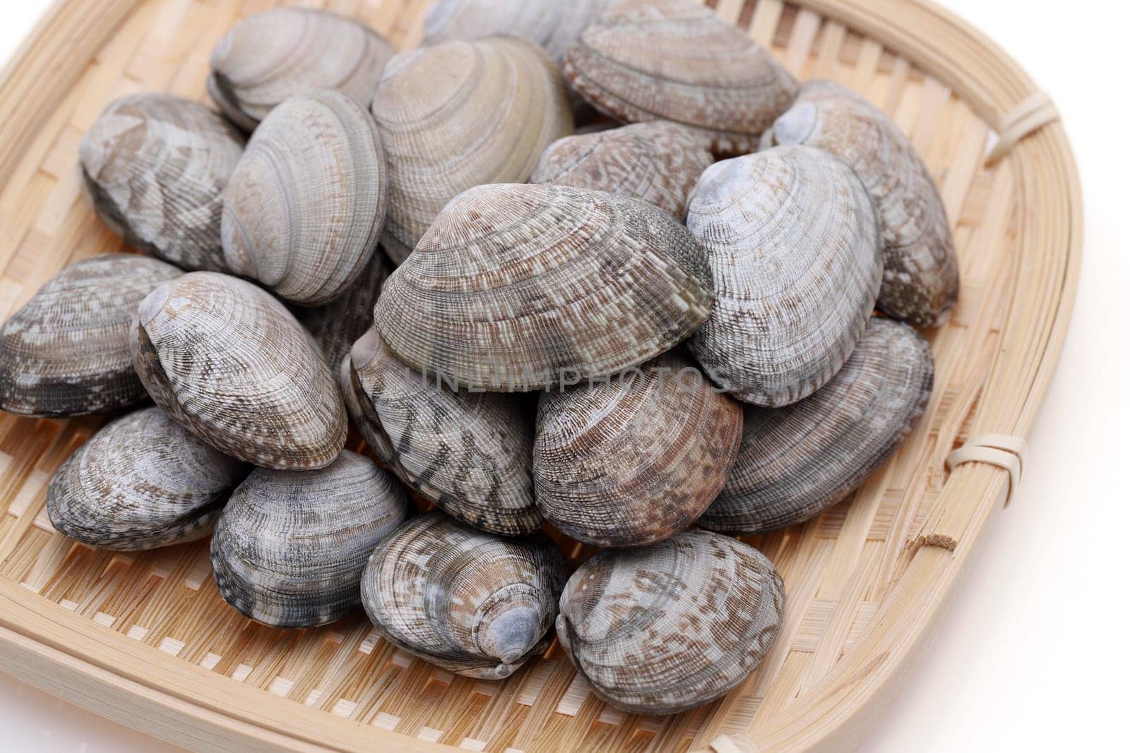 Japanese asari clams in a bamboo basket on white background