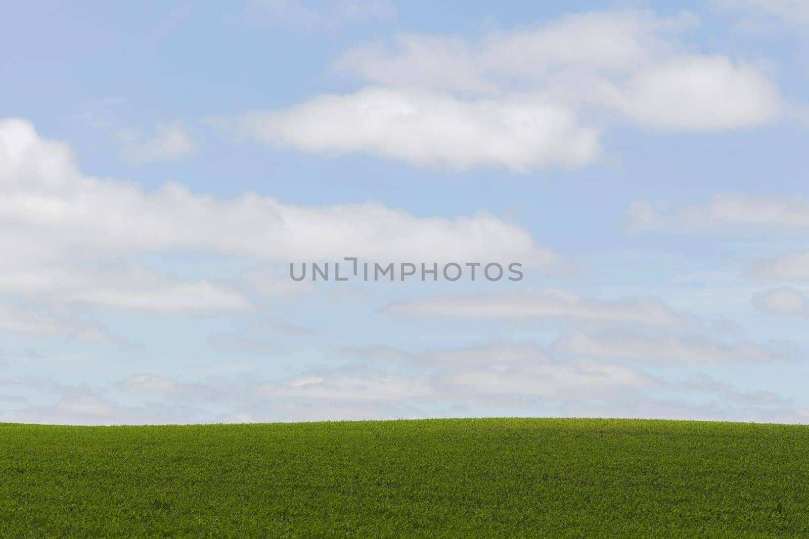 Horizon of a green meadow with cloudy sky
