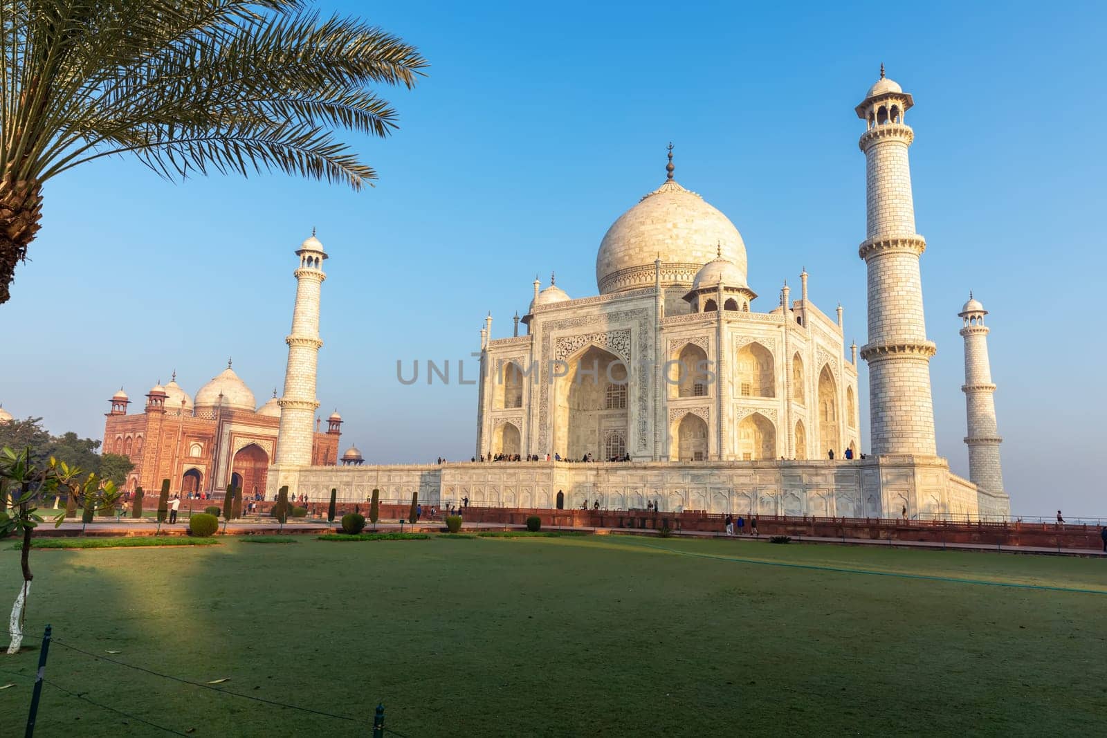 Taj Mahal view from the green garden, India, Agra.