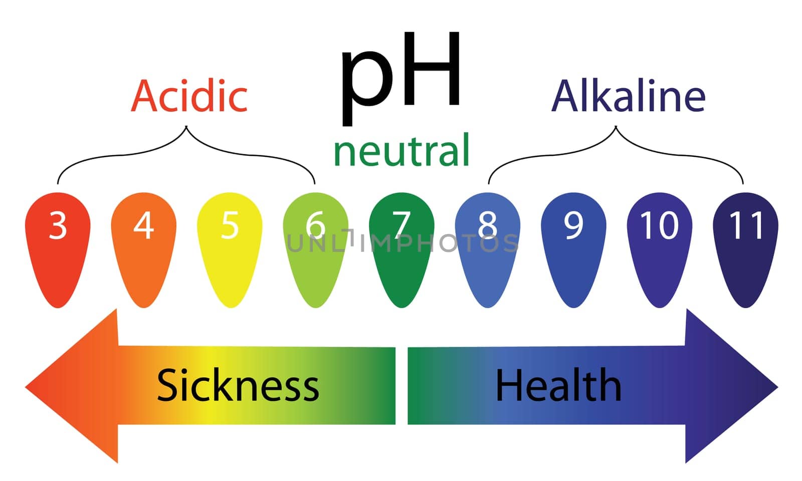 pH level scale showing sickness and health in human body vector infographics