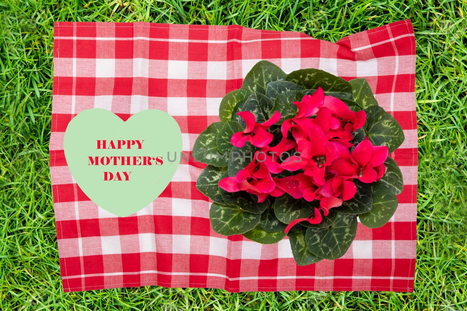 Mothers day greeting card. Decorative composition of red checkered napkin with fresh blooming cyclamen flowers and a green heart with inscription happy mothers day on it flat lay on grass.