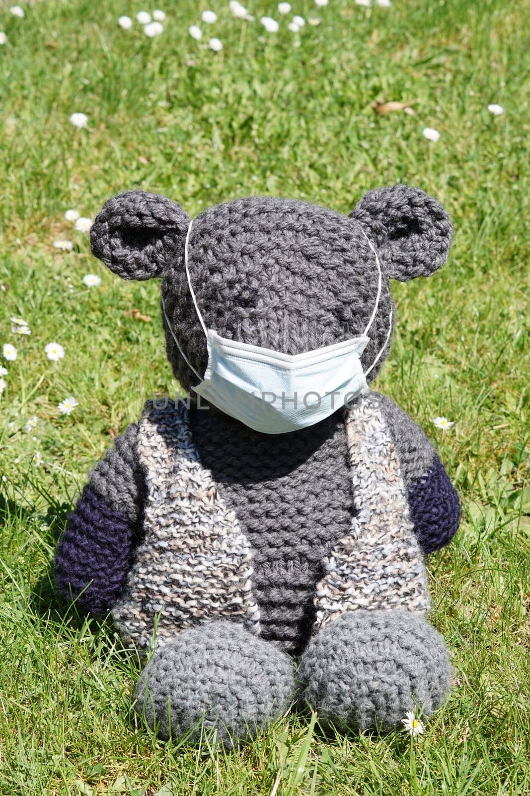 Bear with a corona mask