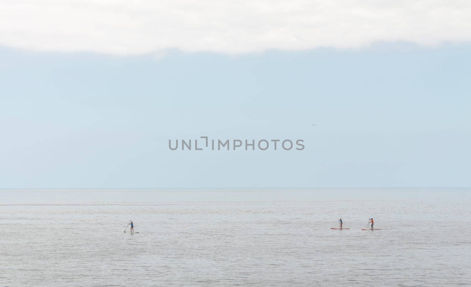 Three people practice paddle surfing in a totally calm sea