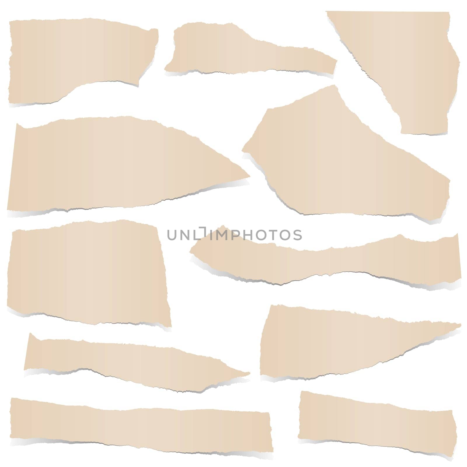 collection of brown colored scraps of papers with shadows