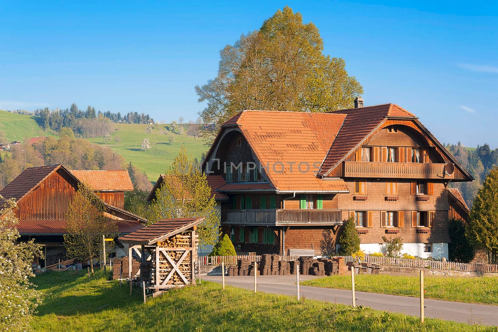 Historic Simmental Farm