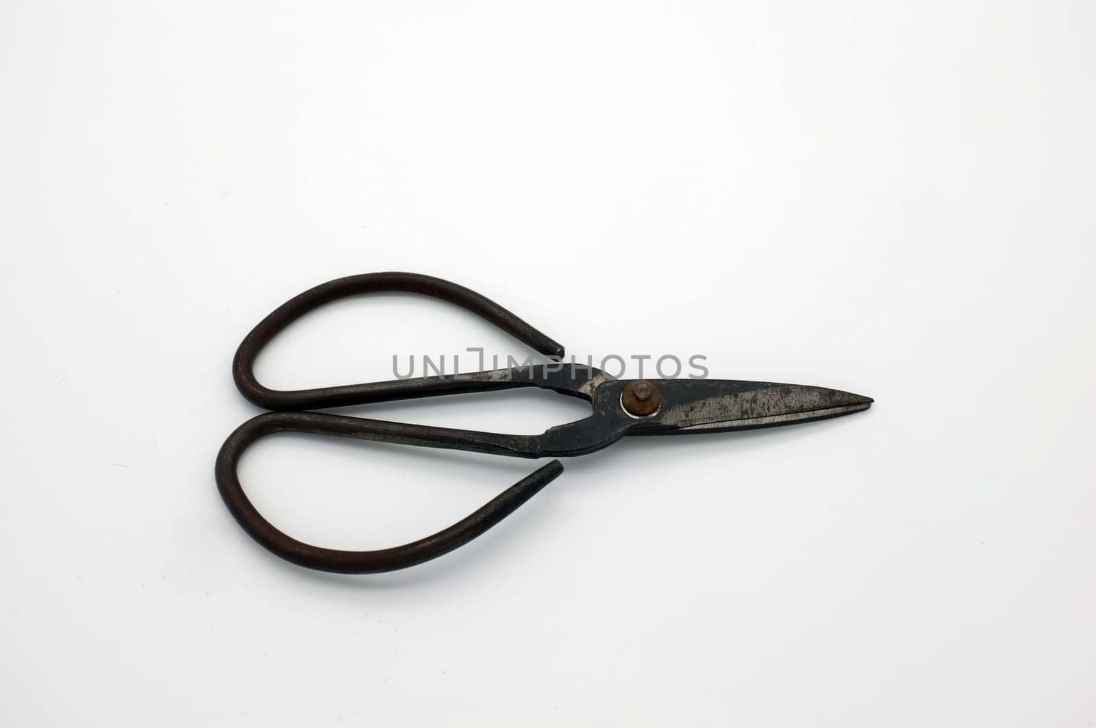black vintage scissors on white textured background.
