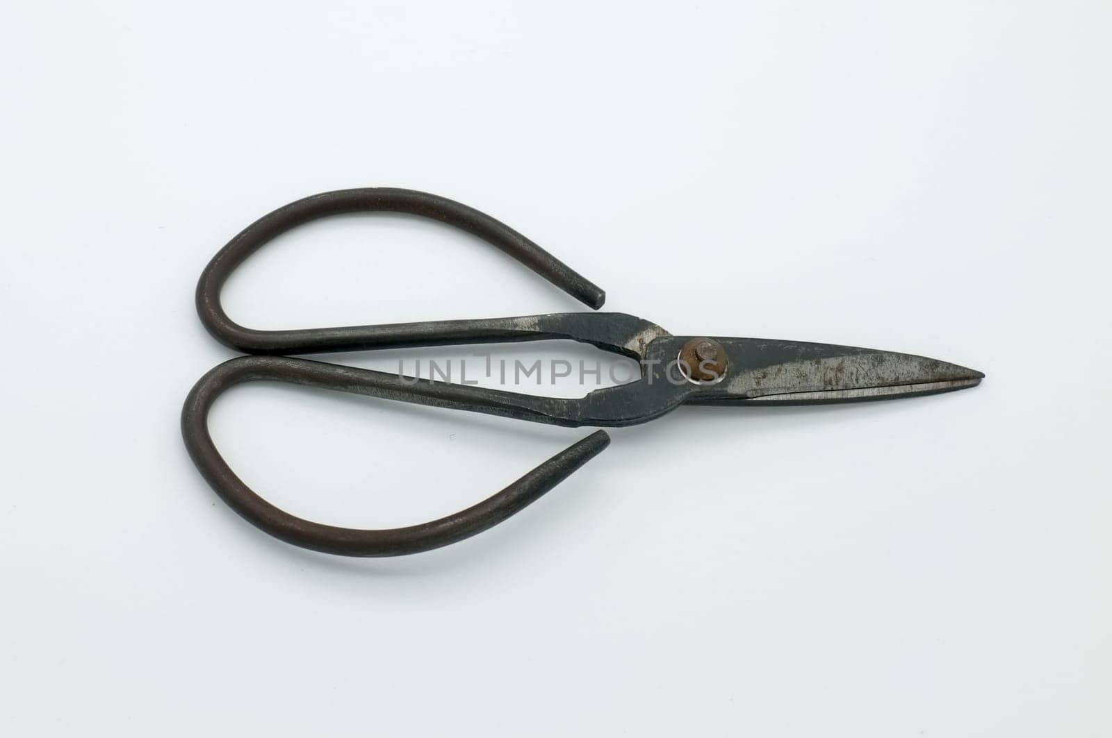 black vintage scissors on white textured background.