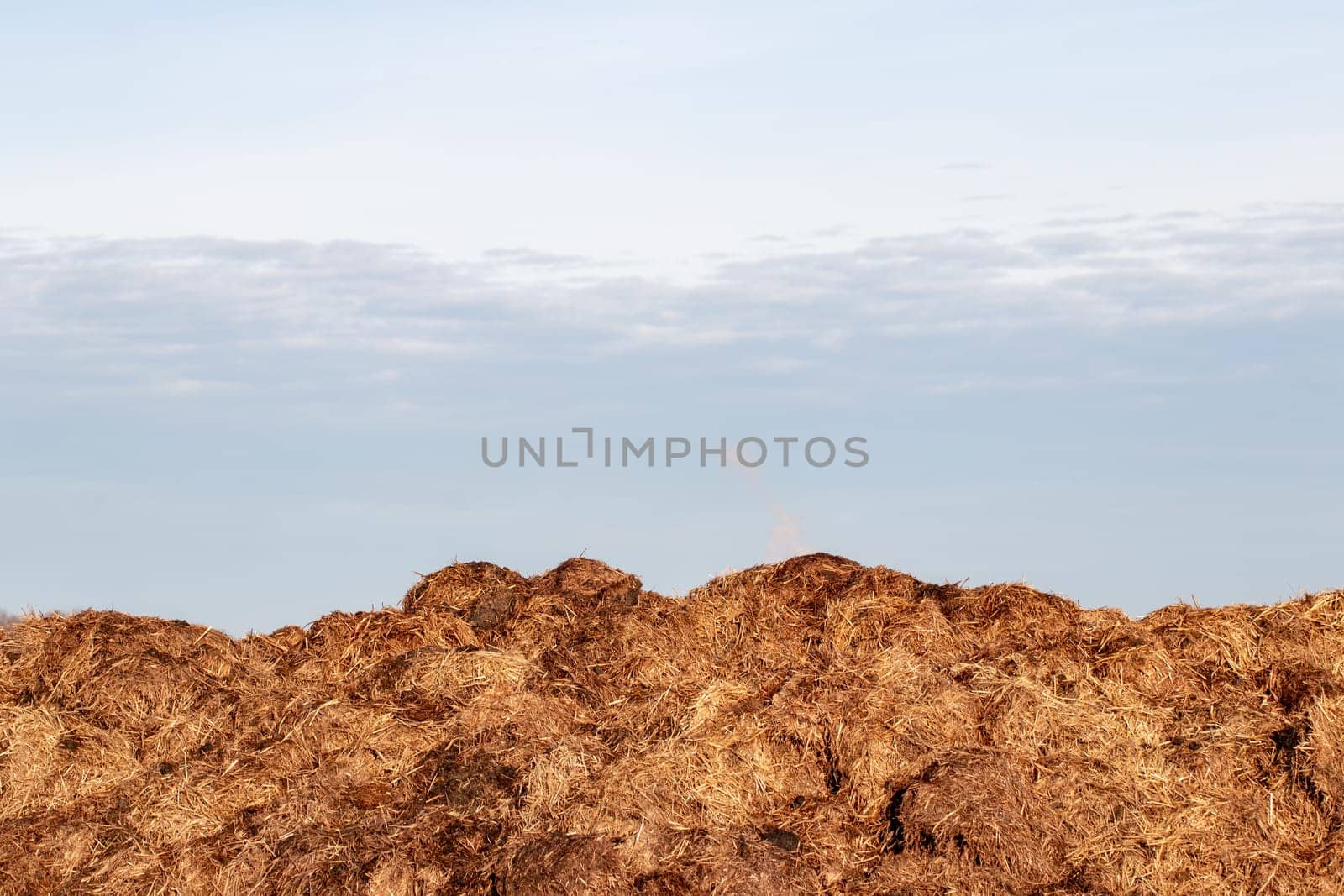 Closeup of a pile of horse dung in the field from the stables of the nearby horse farm in front of light blue cloudy sky. Macro photograph.