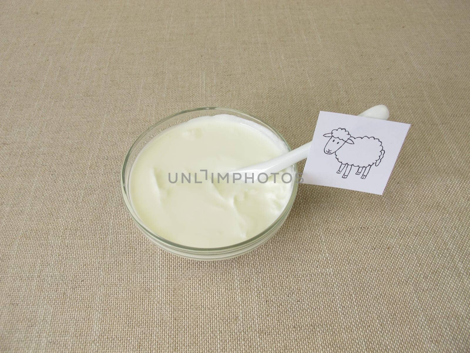 Fresh sheep quark, farmer cheese from the sheep in a glass bowl