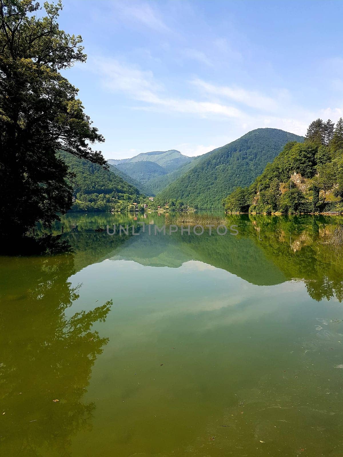 Bosnia Herzegovina, Landscape, Nature, untouched nature, Lake, Forest, Water, Insider tip
