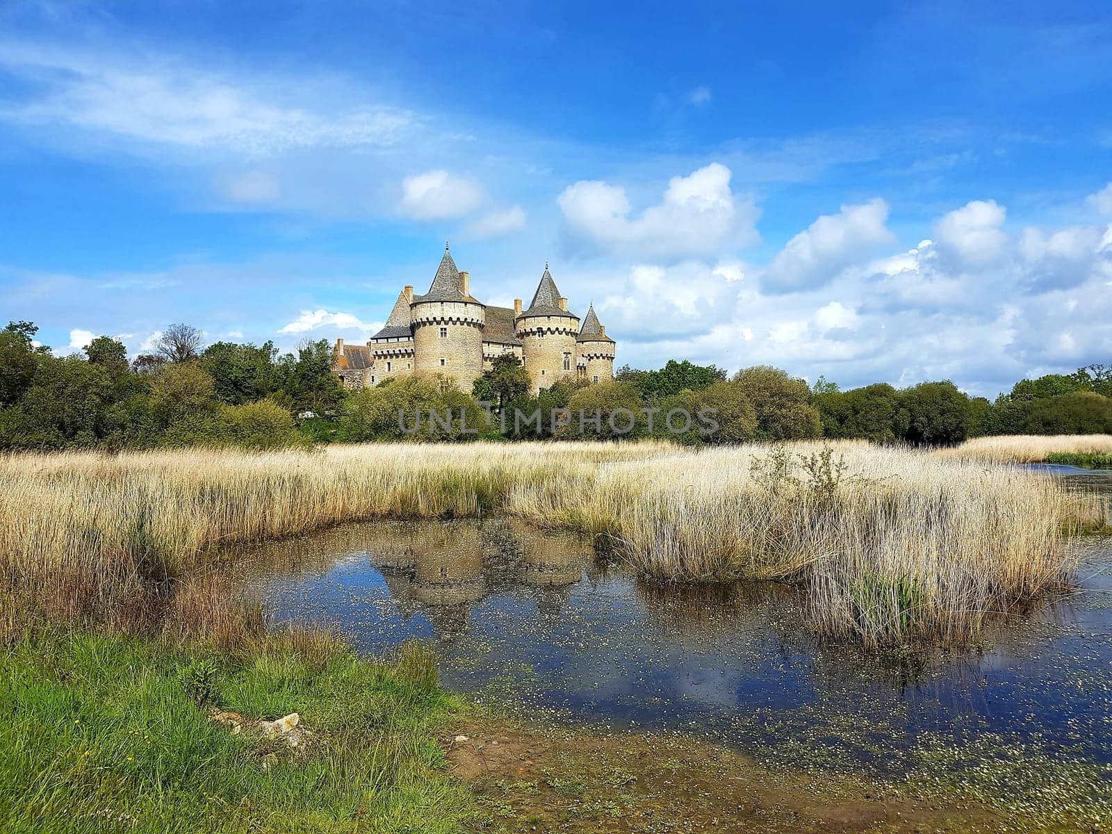 Château de Suscinio, Bretagne