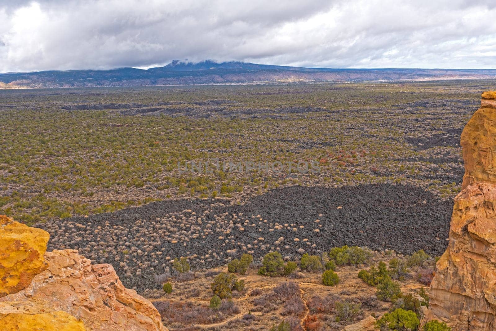 Looking Out Across the Lava Fields in El Malpais National Monument in New Mexico