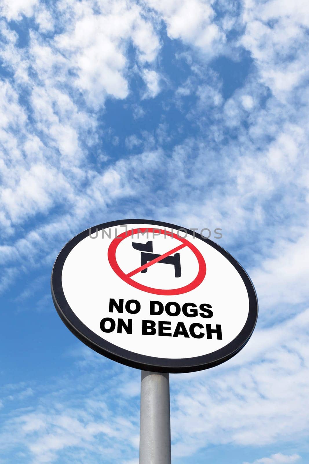 No dogs allowed sign on sky background. Dogs are not allowed on the beach at all times.