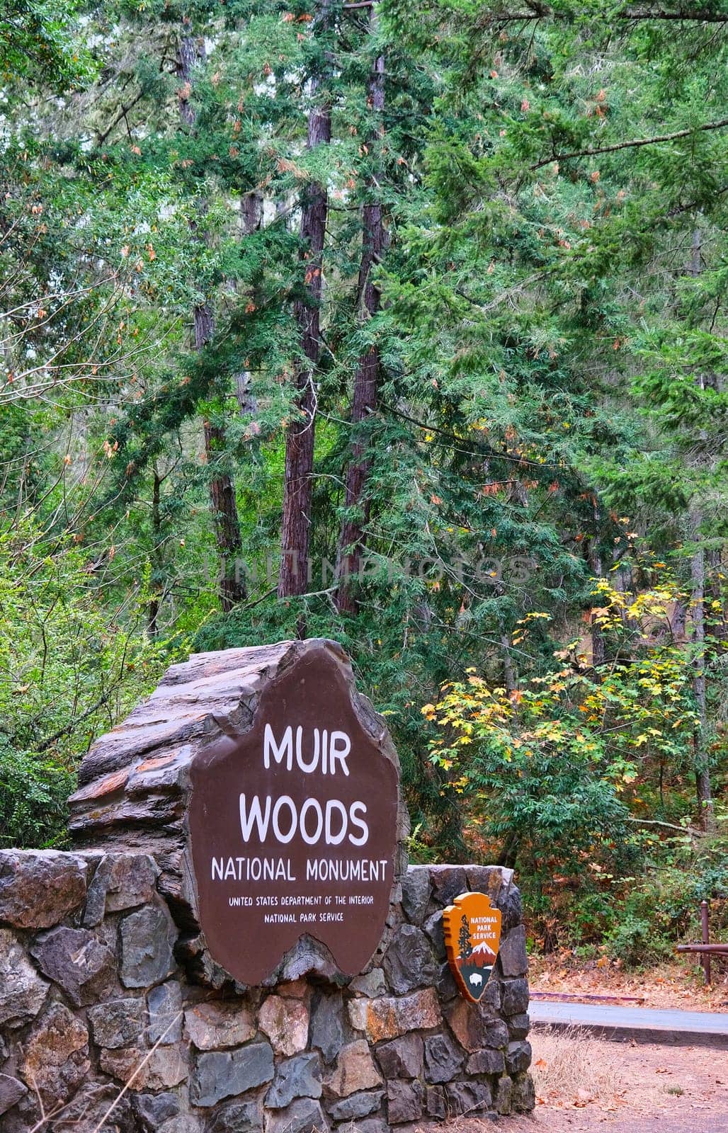 SAN FRANCISCO, CALIFORNIA - November 12, 2019: Muir Woods National Monument is a United States National Monument managed by the National Park Service, named after naturalist John Muir.