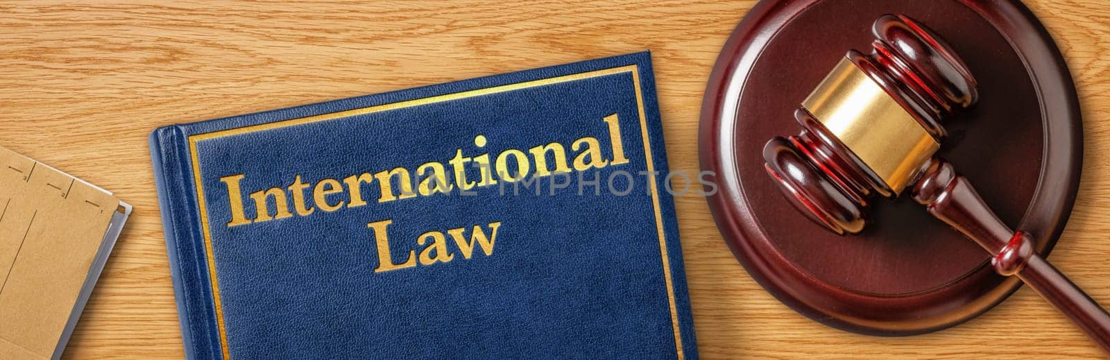 A gavel with a law book - International Law