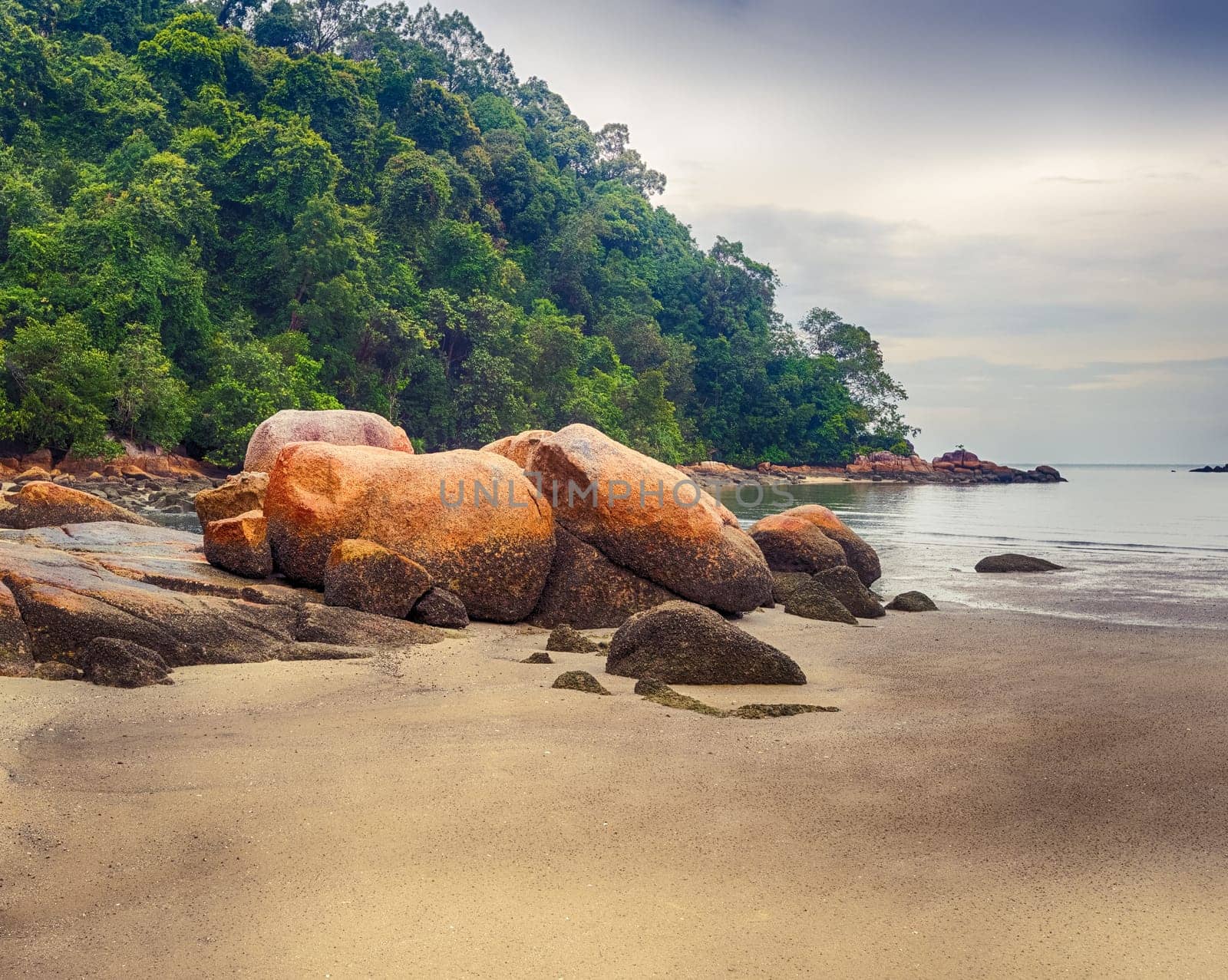 Penang national park at rainy day, Malaysia.