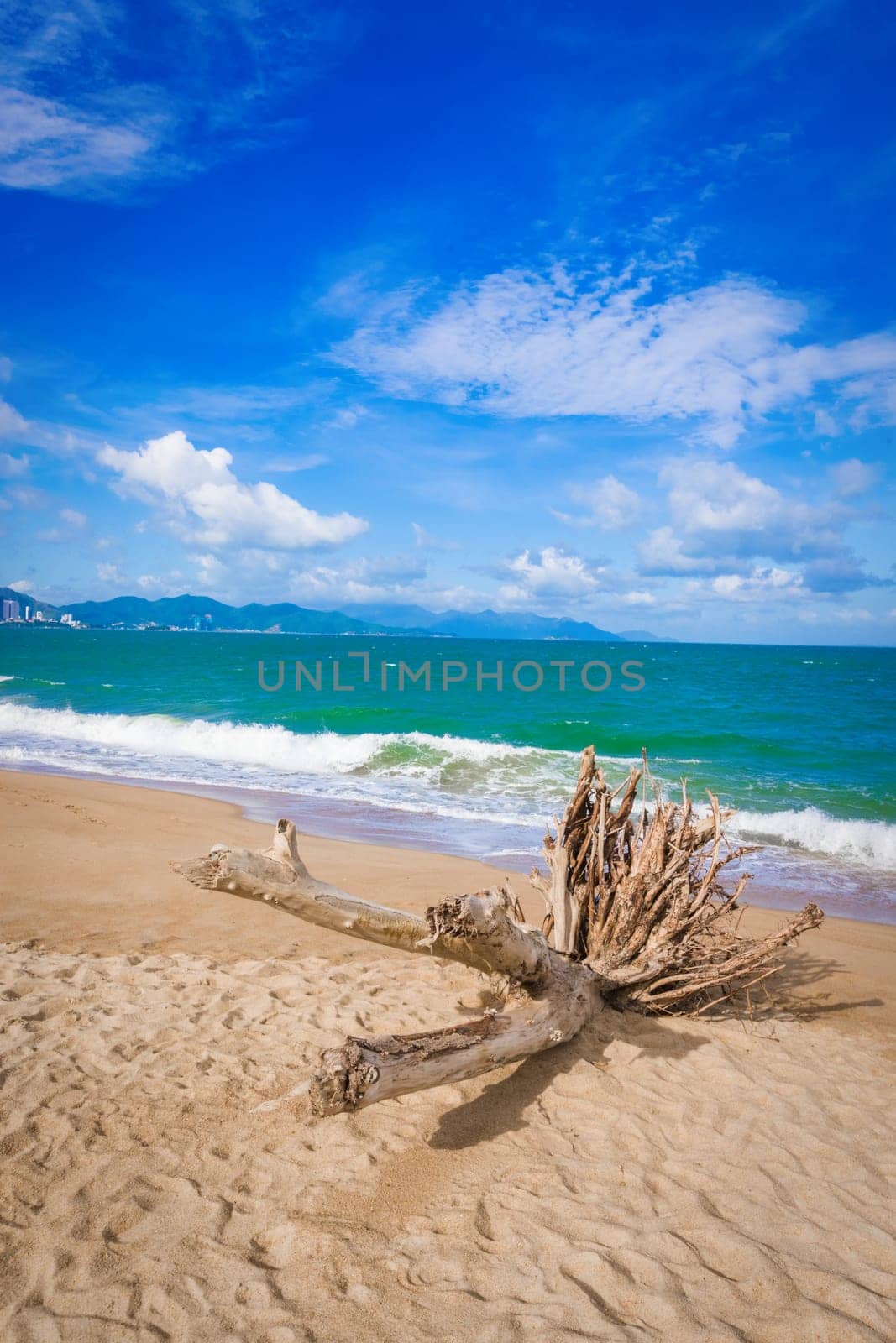 Scenic view of Nha Trang beach at sunny day. Beautiful tropical landscape. Snag on the foreground
