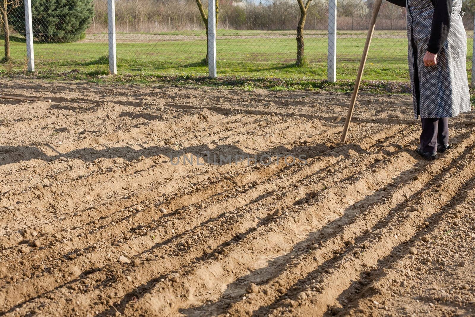 A woman stands behind land prepared for planting. Land prepared flower beds in which are planted seeds.
