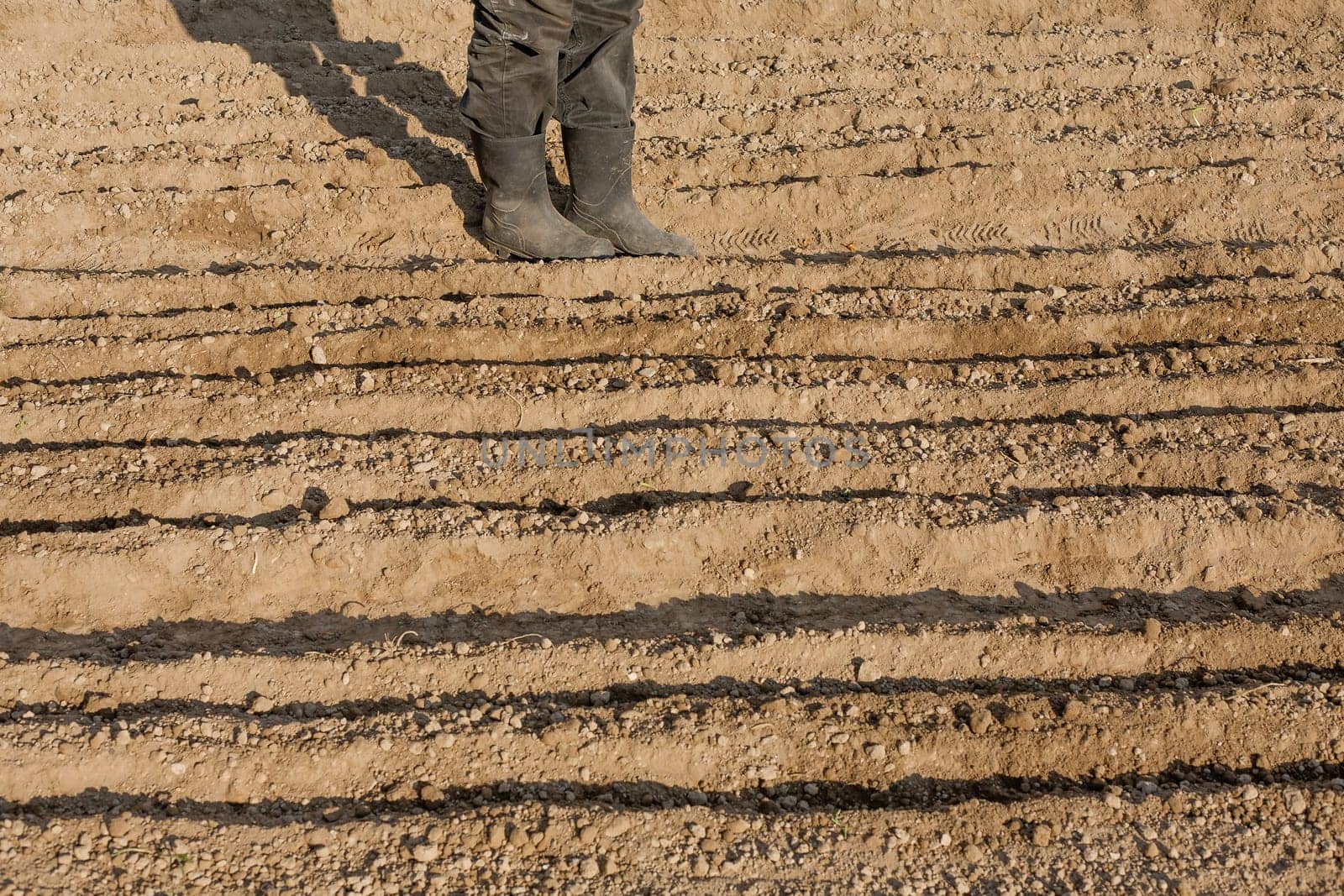 Boots on the end of land prepared for planting. On the ground made flower beds in which are planted seeds.
