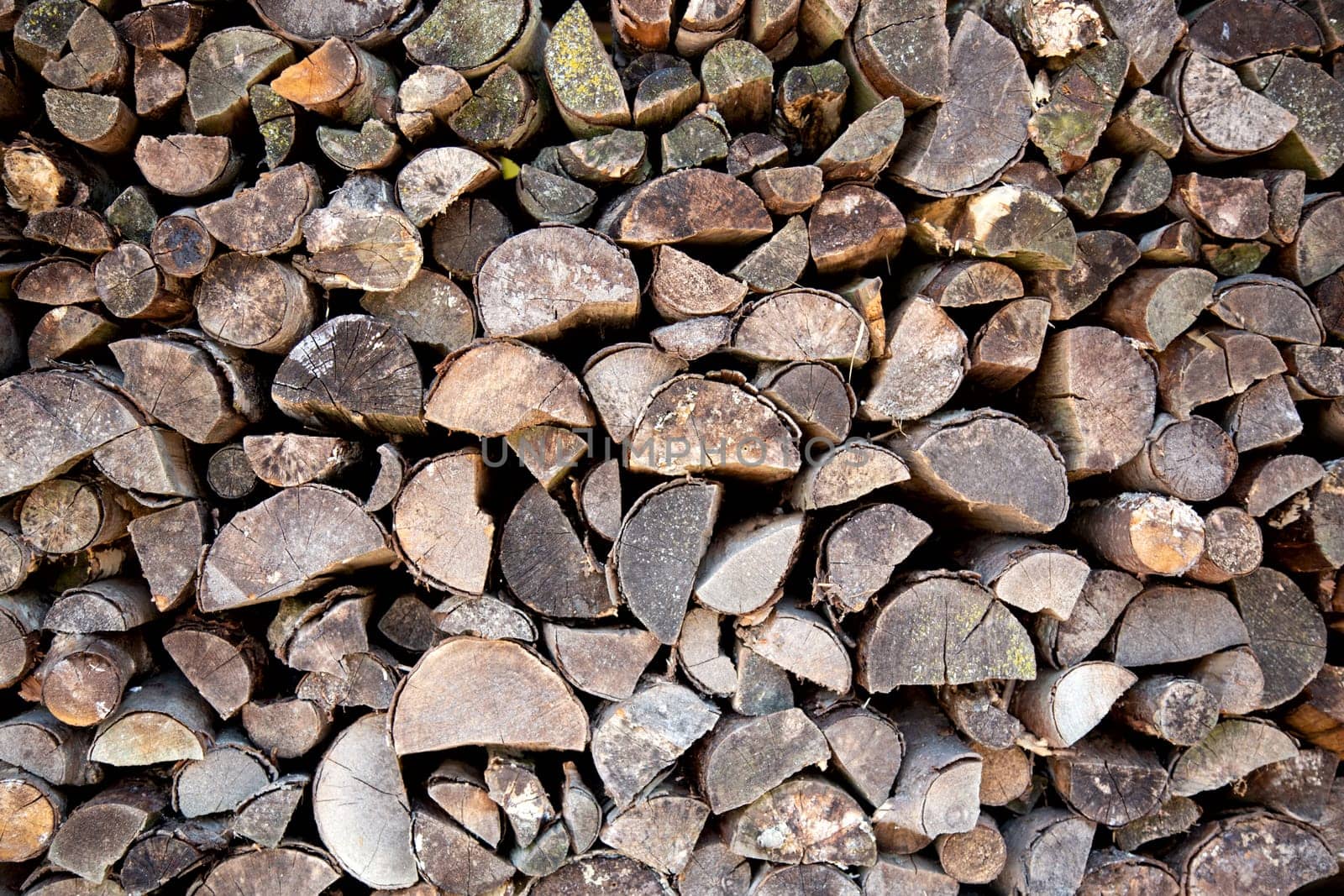 Pile of firewood in the Netherlands..