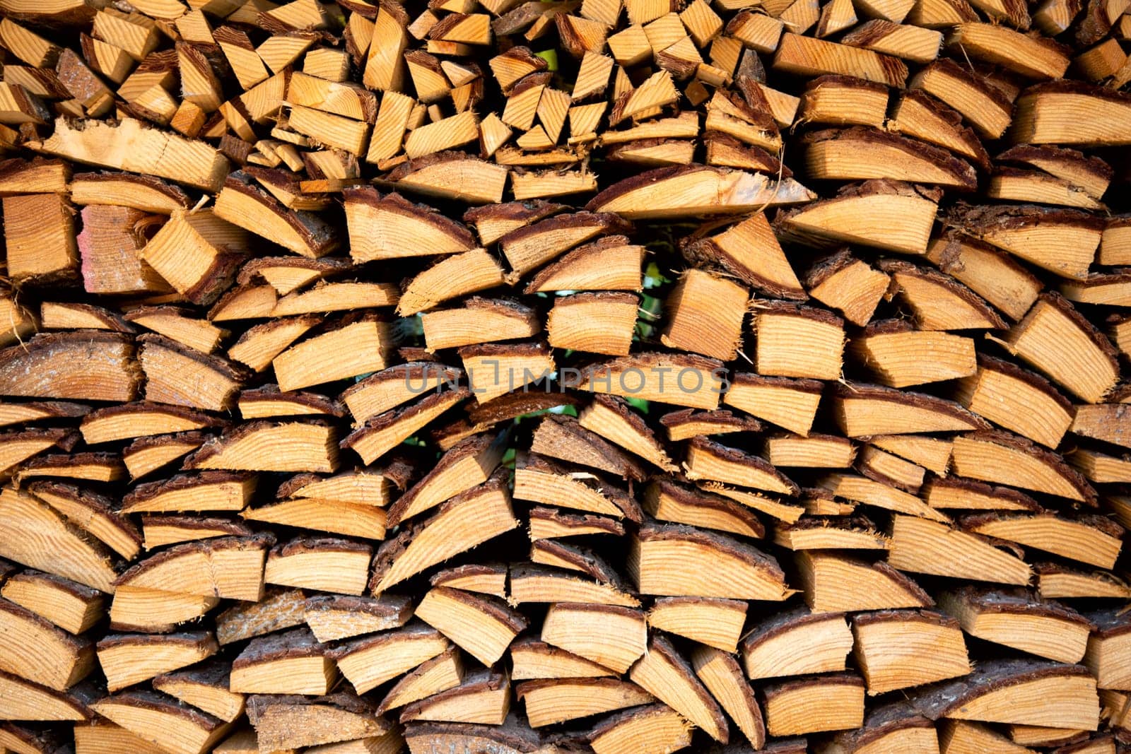 Pile of firewood in the Netherlands..