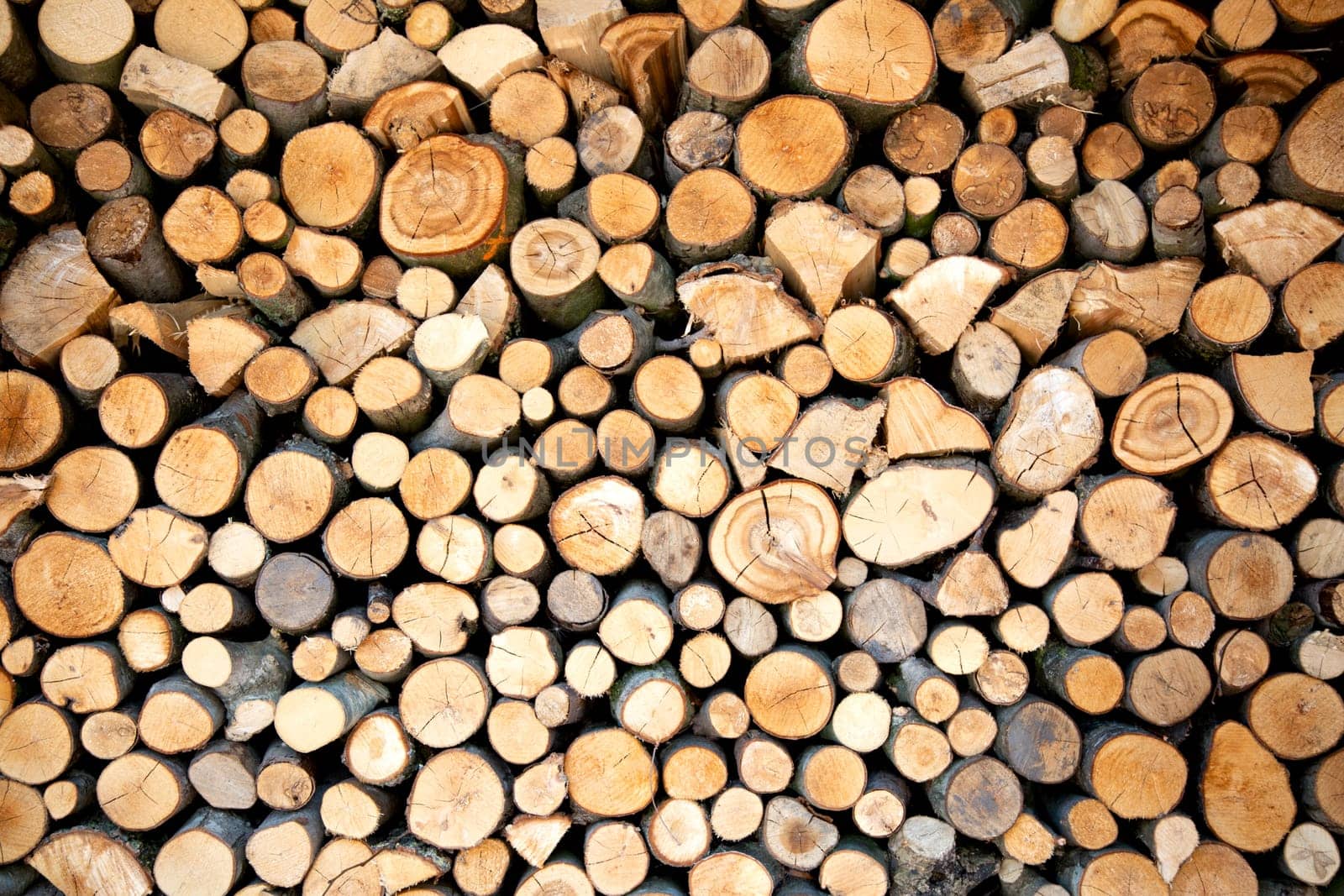 Pile of firewood in the Netherlands..