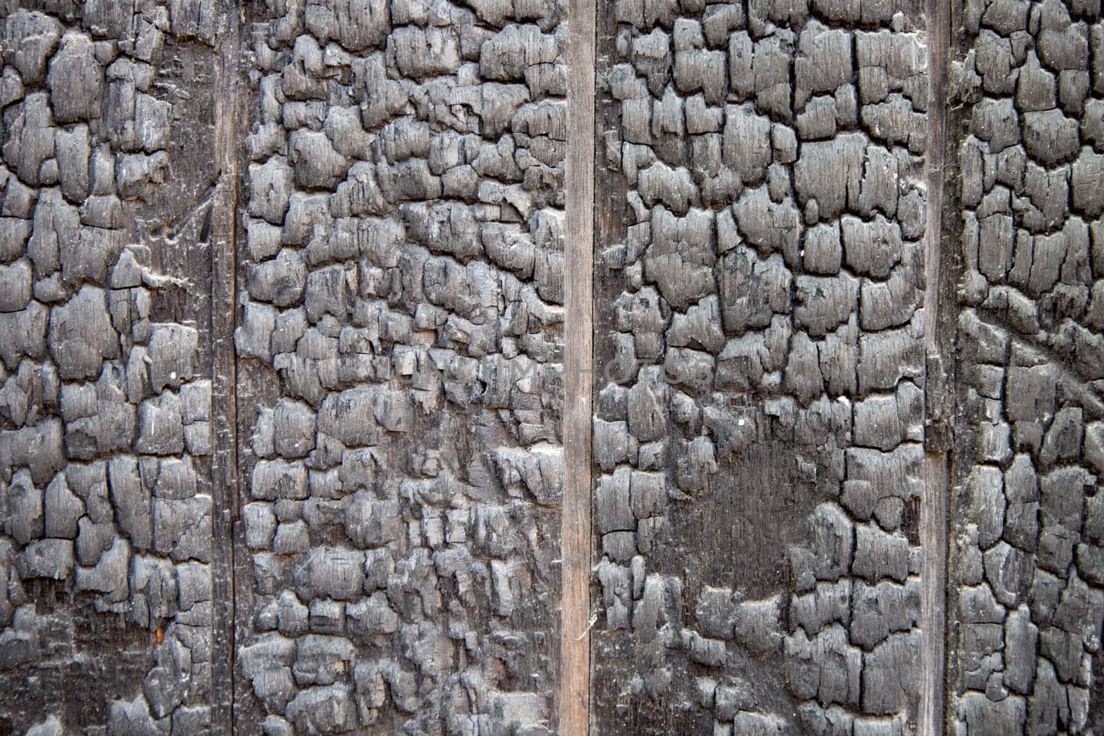 Patterned surface of burned wood..
