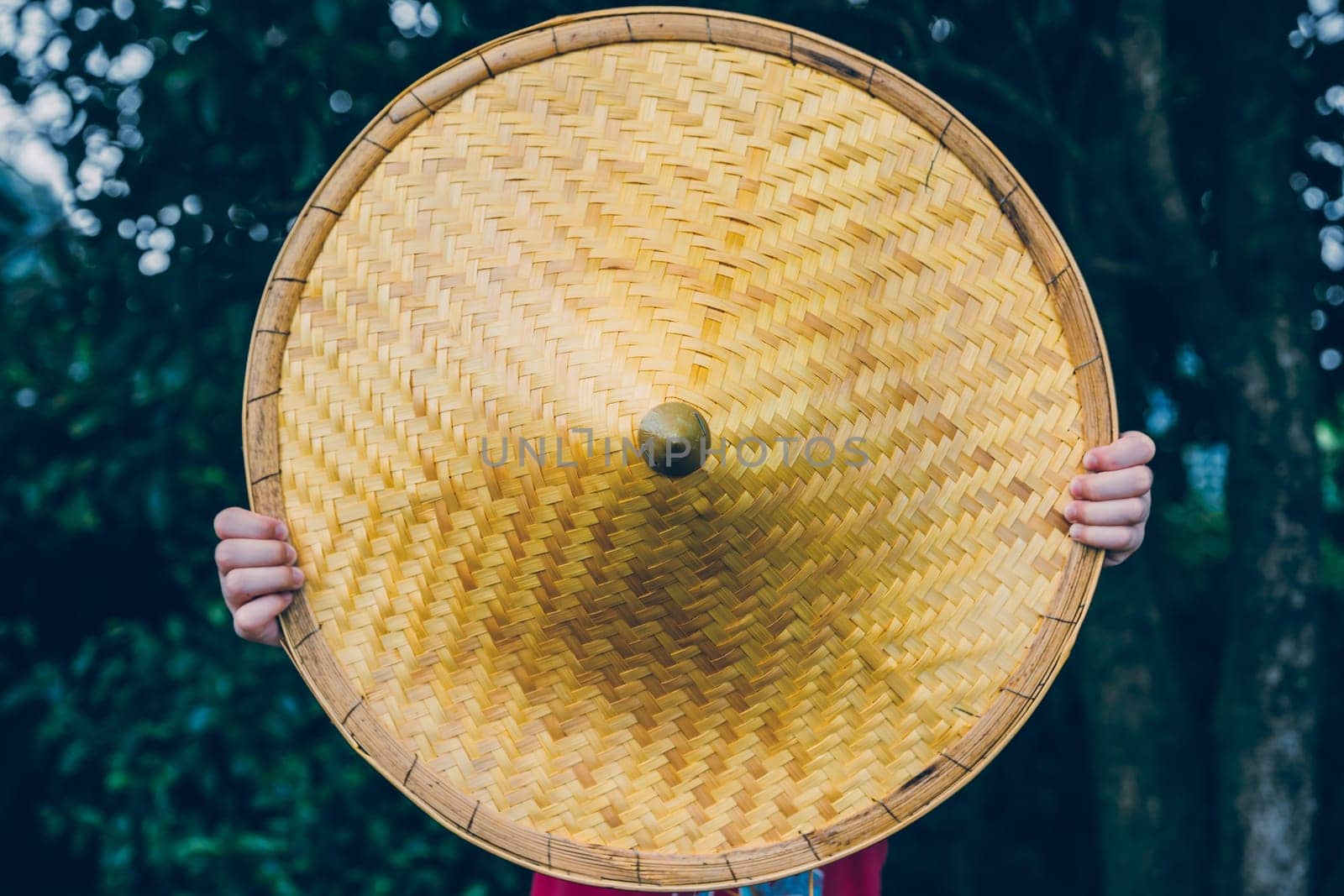 A person holding a Japanese or Chinese style hat in front of them with a blurred background