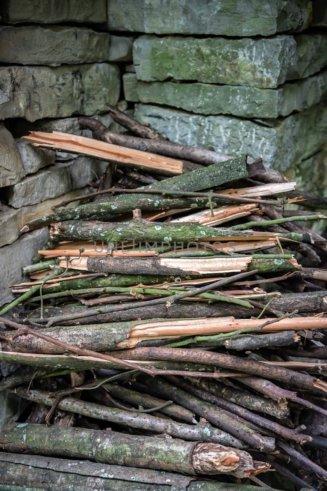 A vertical shot of newly cut wood in an abandoned village in a forest near Yangshuo, China