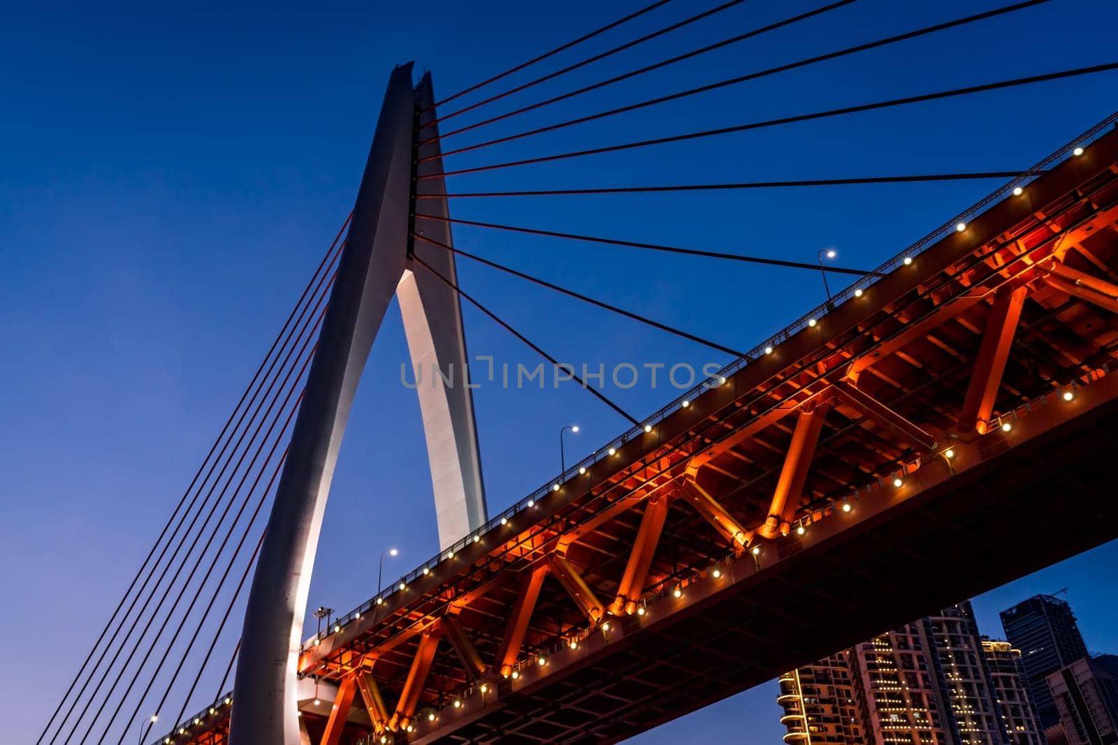 Low angle shot of an illuminated Twin River .cable stayed bridge in Chongqing, China