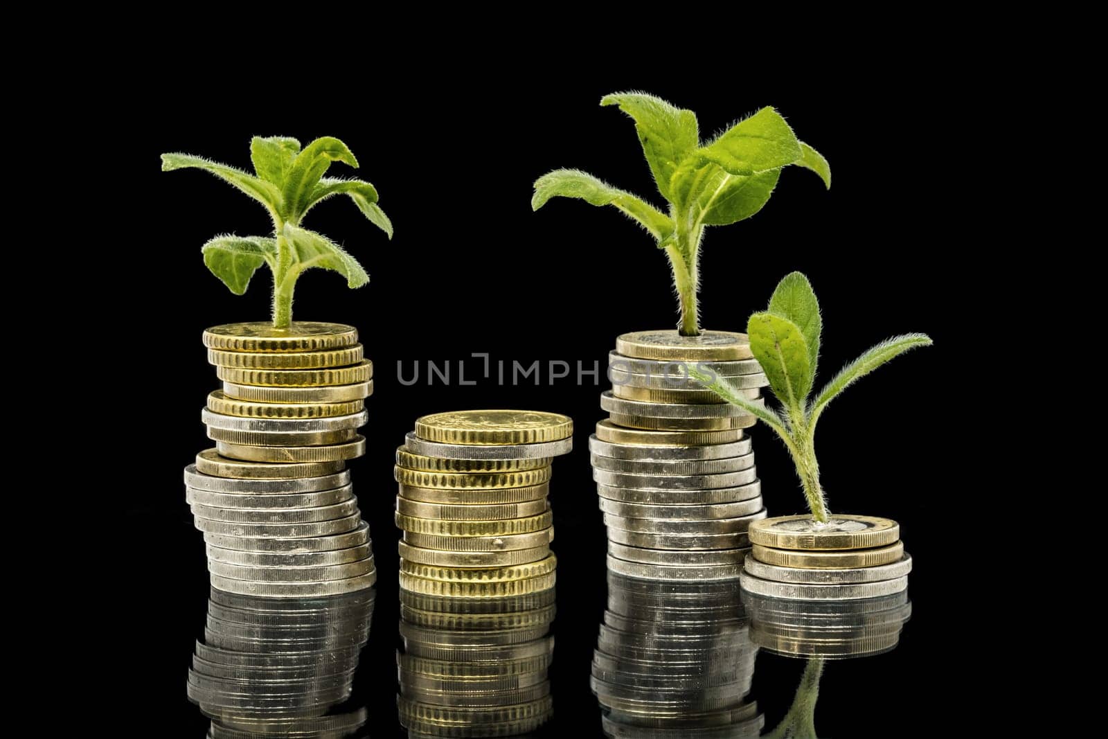 Plants grow out of stacked money coins against a black background with reflection
