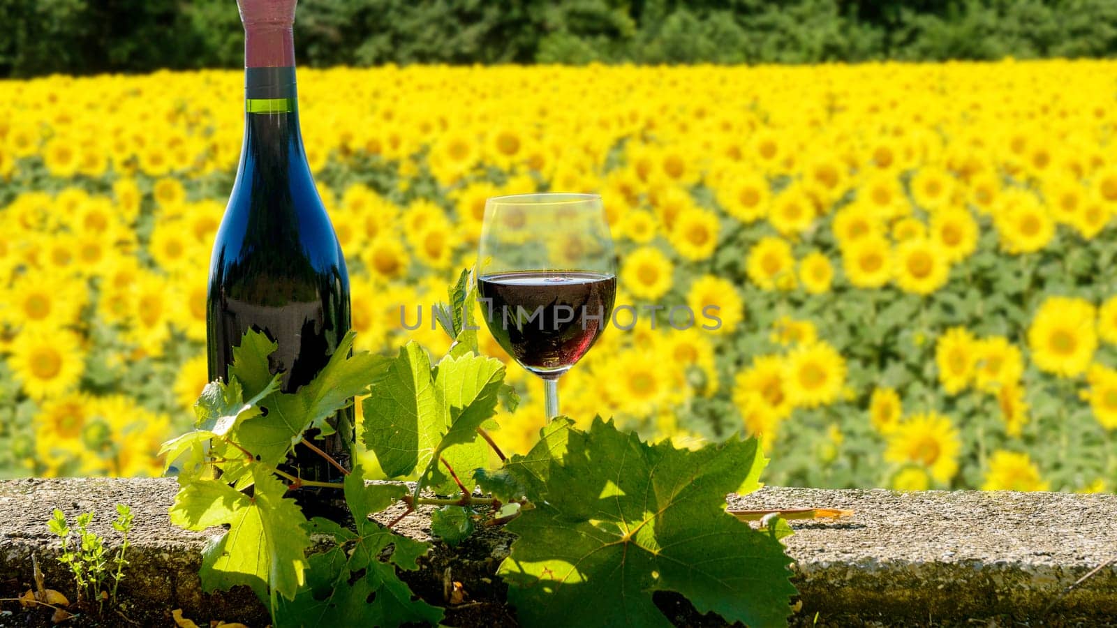a bottle and glass of red wine with sunflowers field, summer landscape
