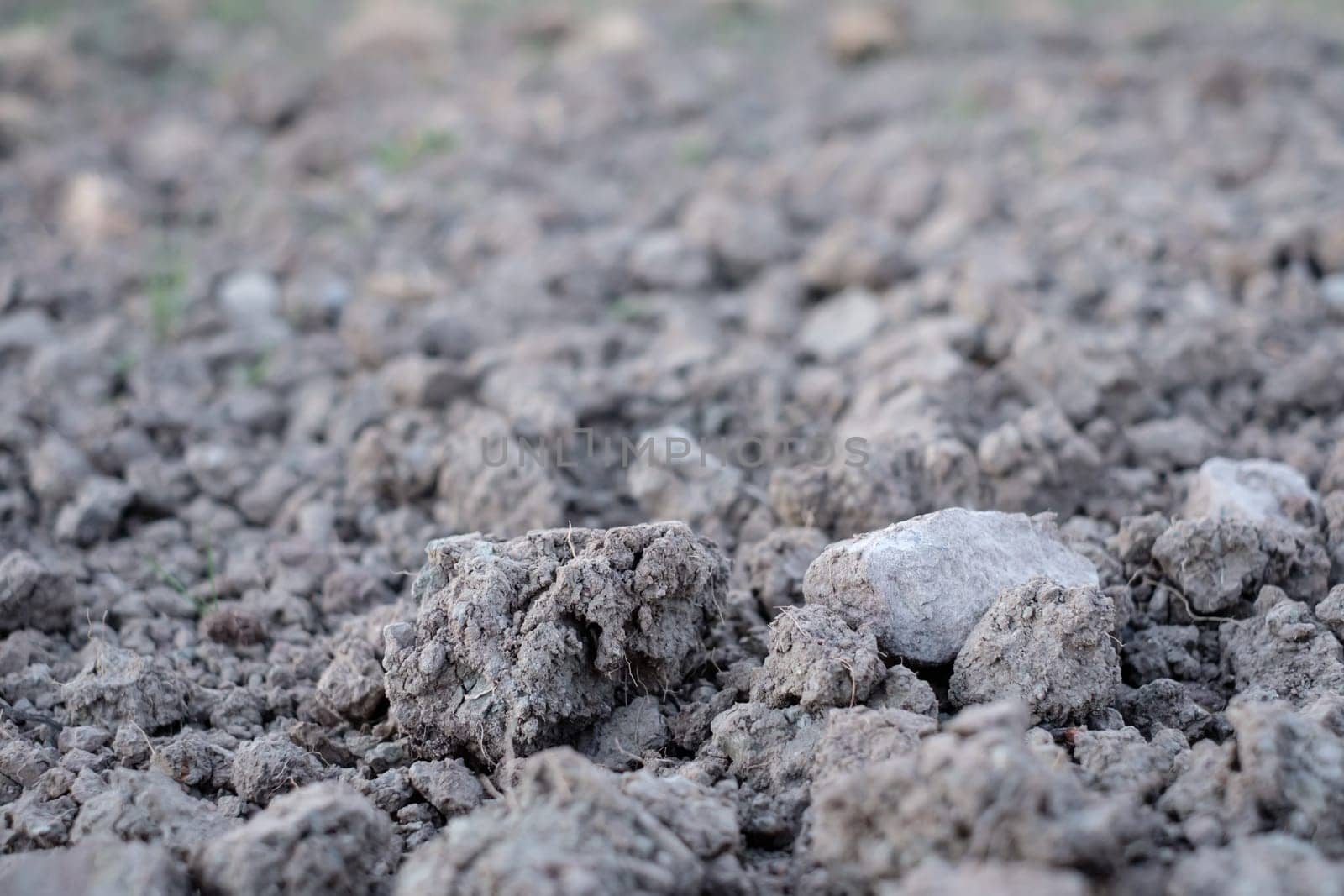 Soil and stone in a vineyard close-up