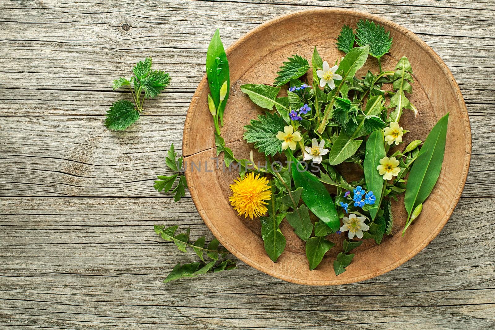 Healthy spring plants food ingredients. Dandelion, wild garlic, flowers and nettle on wooden background