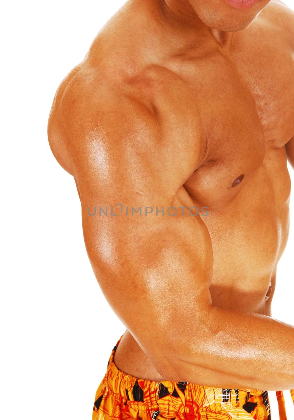 A close up image of the arm and chest of a bodybuilder with big muscles.standing in profile, isolated for white background.