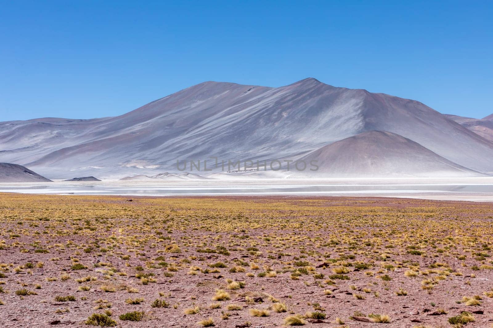 Atacama Desert, Chile. Salar Aguas Calientes. Lake Tuyacto. South America.