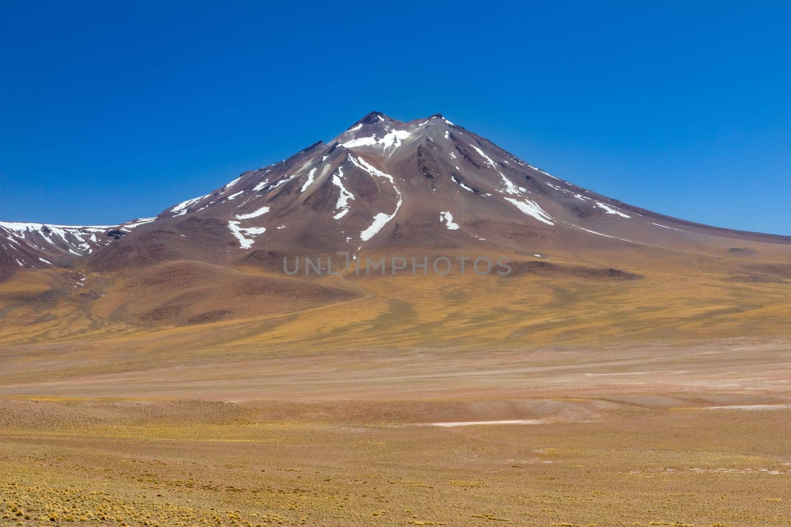 Atacama Desert, Chile. Salar Aguas Calientes. Lake Tuyacto. South America.