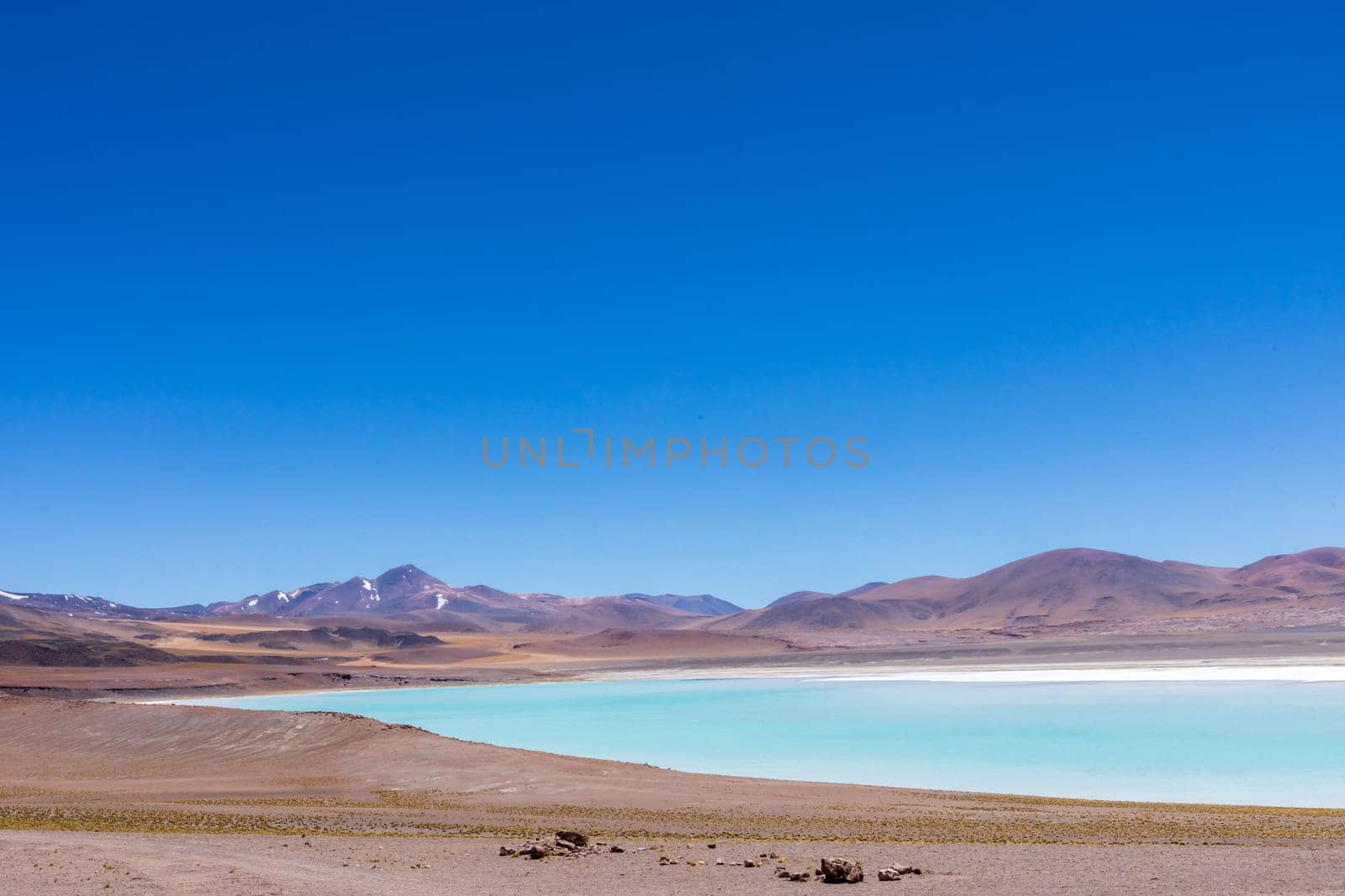 Atacama Desert, Chile. Salar Aguas Calientes. Lake Tuyacto. South America.