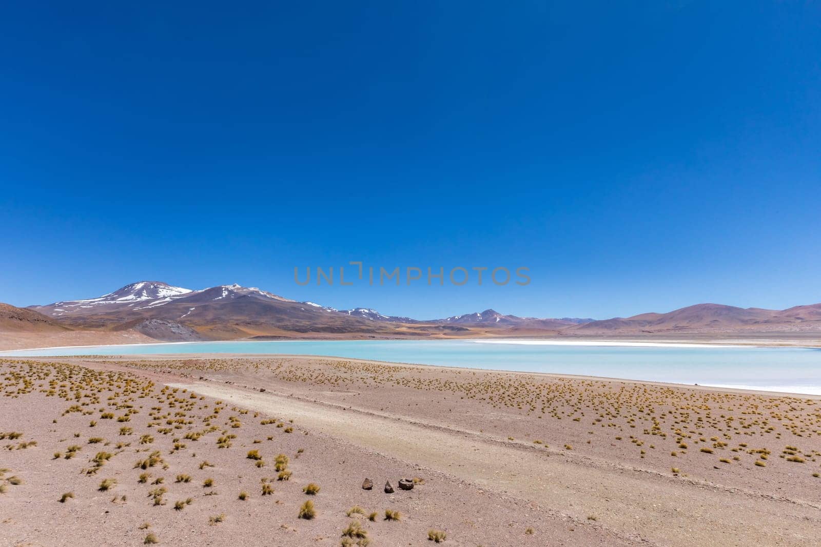 Atacama Desert, Chile. Salar Aguas Calientes. Lake Tuyacto. South America.
