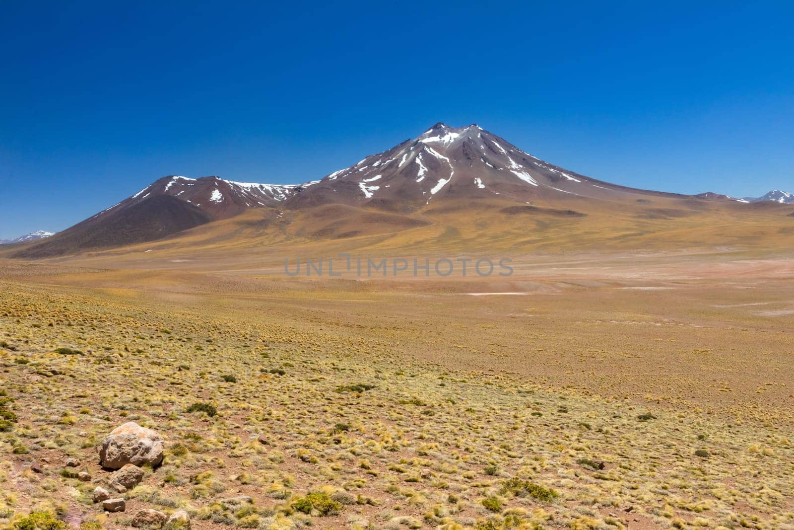 Atacama Desert, Chile. Salar Aguas Calientes. Lake Tuyacto. South America.