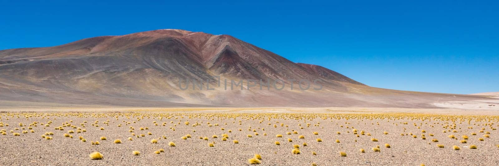 Atacama Desert, Chile. Salar Aguas Calientes. Lake Tuyacto. South America.